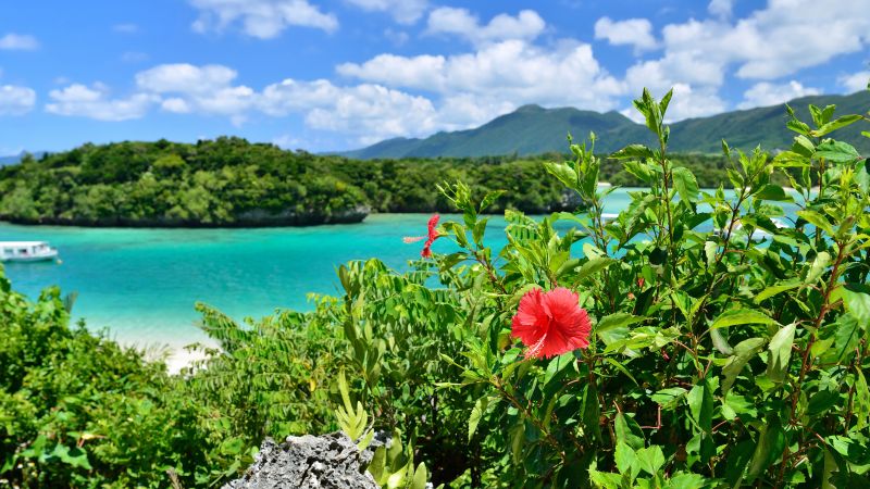 Destinations Croisières Île d'Okinawa