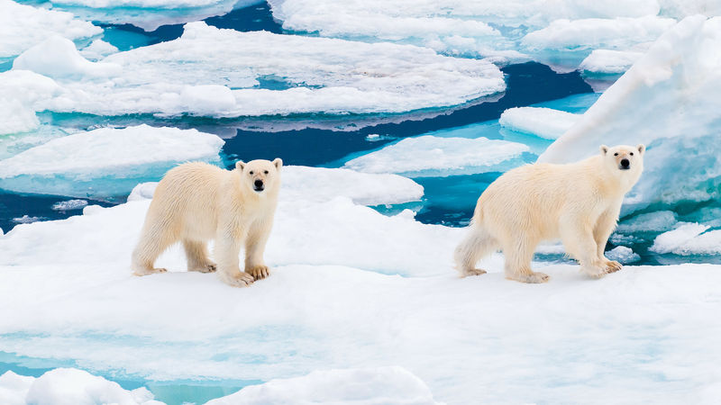 Destination Croisières Détroit d'Hinlopen