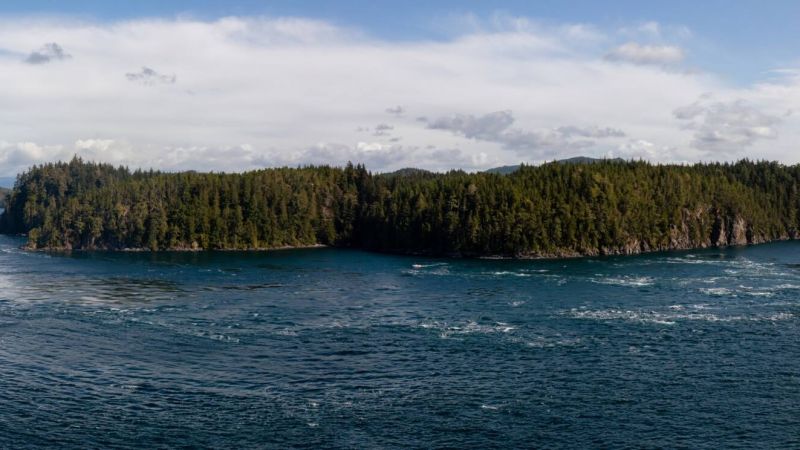 Scenic cruising Johnstone Strait