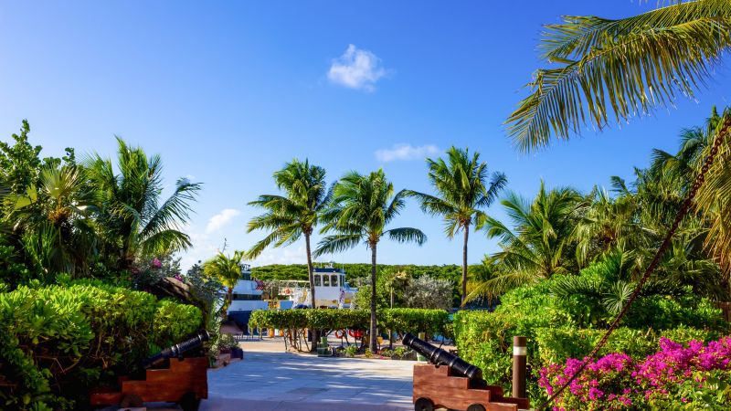 Destination_HALF-MOON_CAY_ BAHAMAS