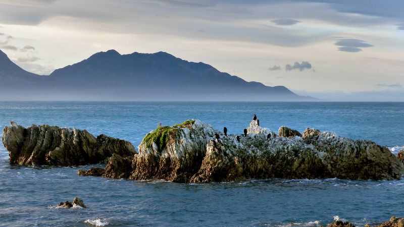 Destinations Croisières Kaikoura 