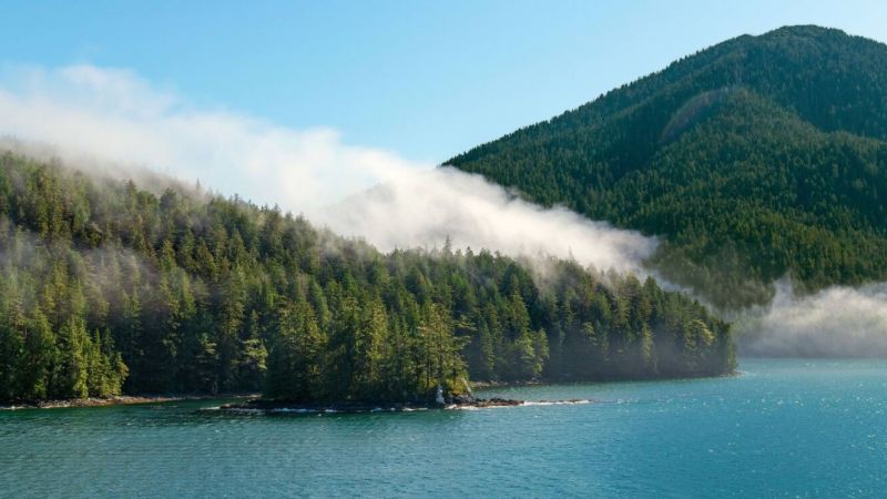 Great Bear Rainforest