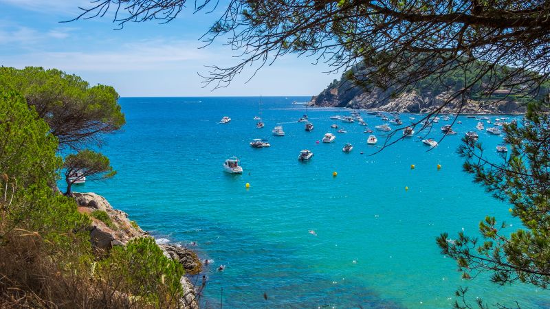 Destinations Croisières Palamos