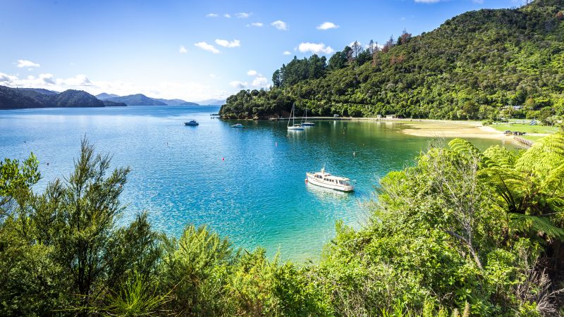 QUEEN_CHARLOTTE_SOUND–NOUVELLE_ZELANDE