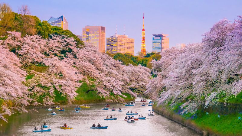 Destinations Croisières Tokyo  