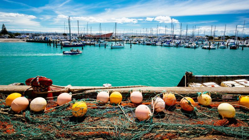 Destinations Croisières Napier
