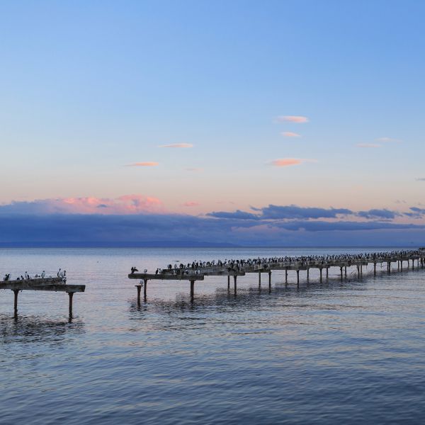 Destination Croisières Punta Arenas