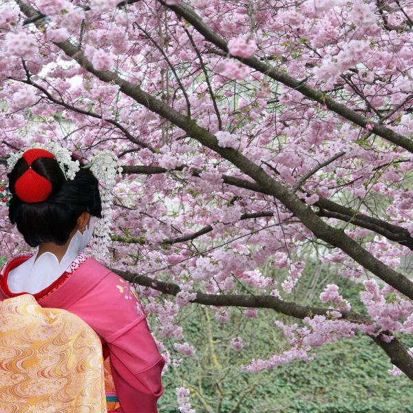 Destinations Croisières Sakaiminato 