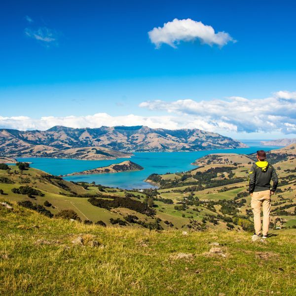 Destinations Croisières Akaroa