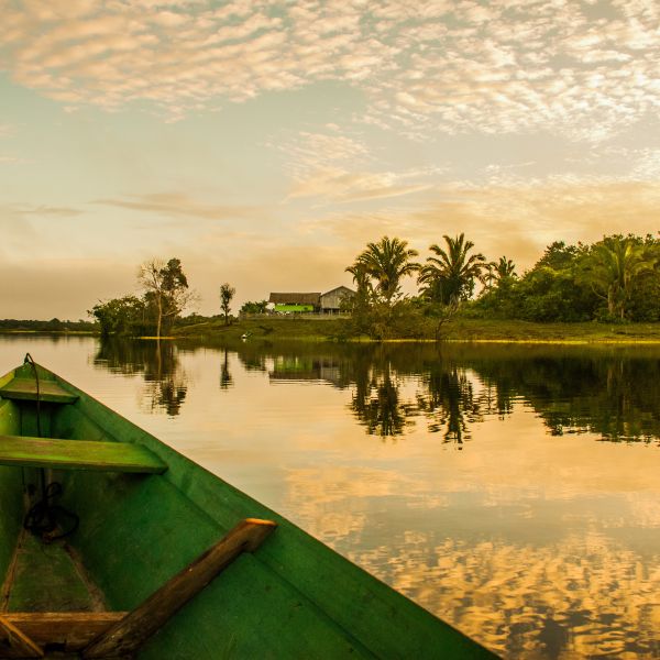 Destination Croisières Amazonie