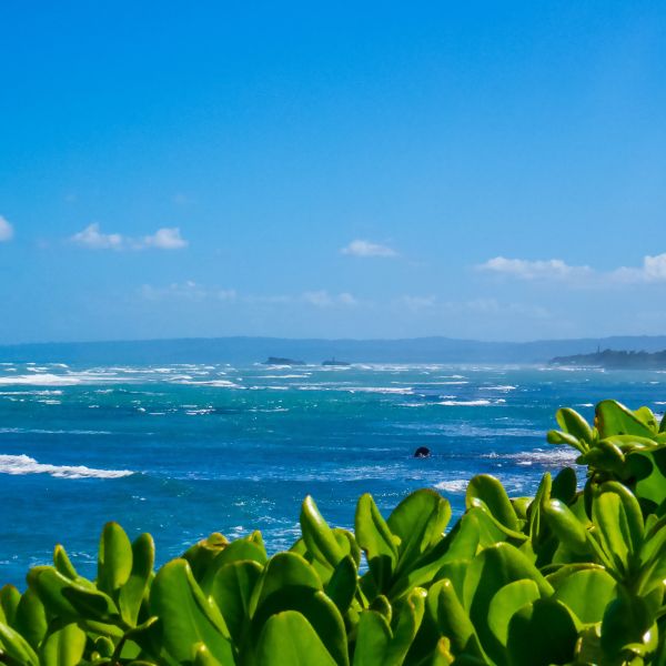 Destination Croisières République Domicaine Puerto Plata 