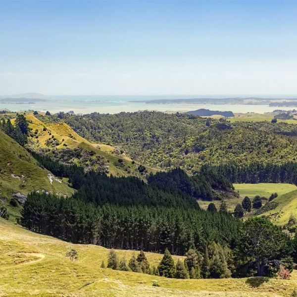 Gisborne, Nouvelle-Zélande