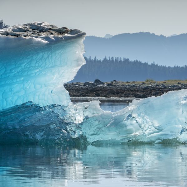 Destinations Croisières Endicott Arm 