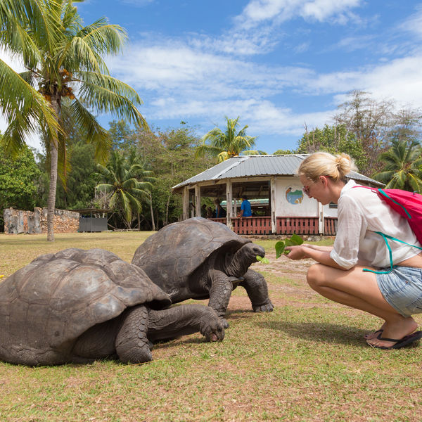 Destinations Croisières Île Curieuse 