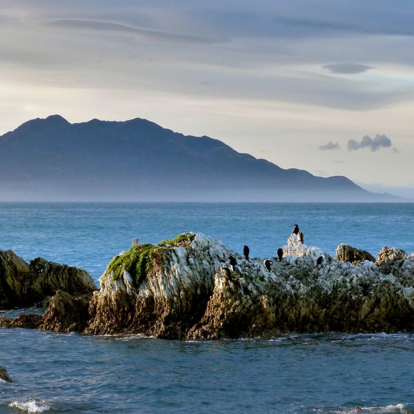 Destinations Croisières Kaikoura 