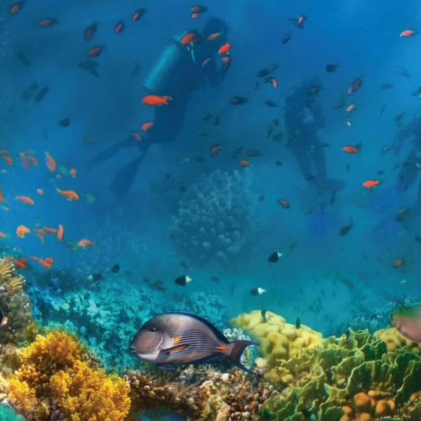 Mahogany Bay, Honduras