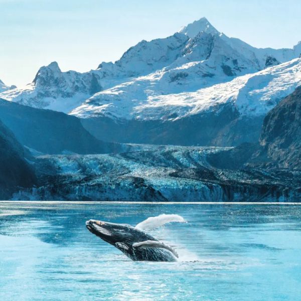 Stephens-Passage, Alaska