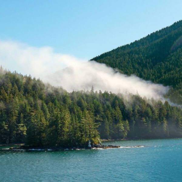 Great Bear Rainforest