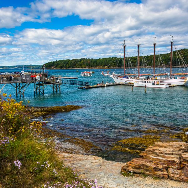 Destinations Croisières Bar Harbor 
