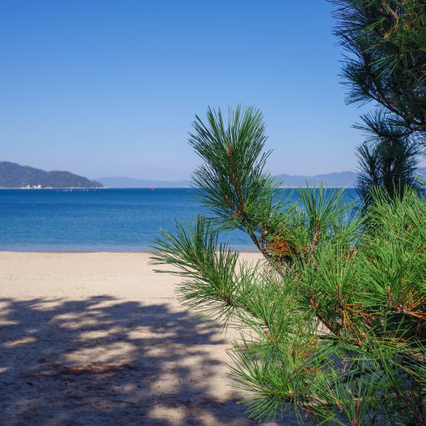 Destinations Croisières Tsuruga