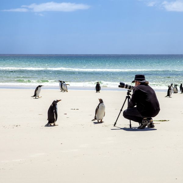 Destination Croisieres Les Malouines 