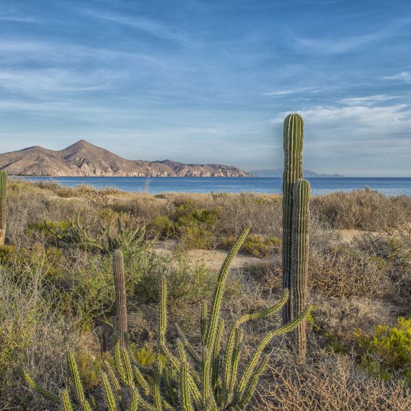 Destinations Croisières Ensenada